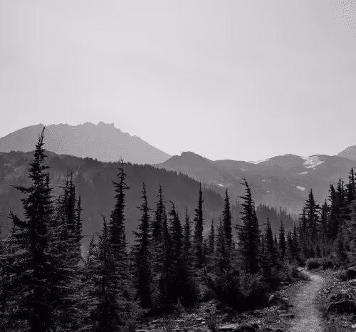 Item #2005862319158051831365229387864138466486092287762213337058068719729027055617 Media