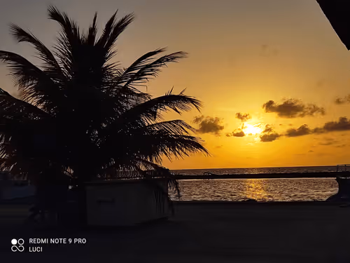 Item #3902770654397451055679675959158642588434254575108707249038517991714754396170 Media