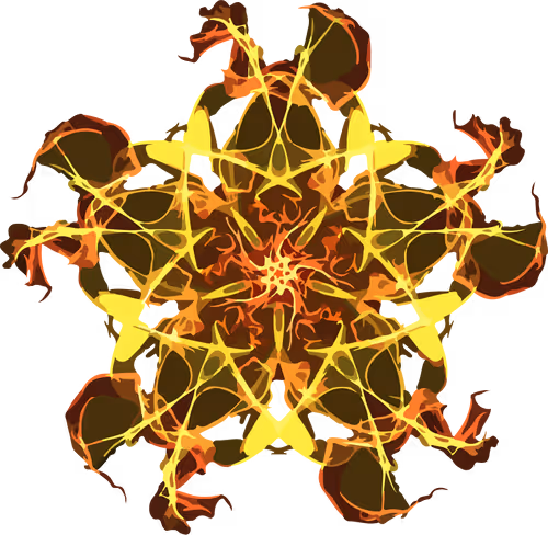 Item #63211013100529833525454840660360054649628702037965273455681848587004959260673 Media