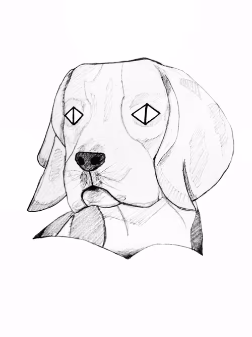 Item #21782199312368670970242189760663991903932470876849492131182457869250255126529 Media