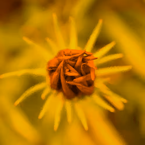 Item #97472780855113725442361506406406632137290984226550429674679319579227144060929 Media