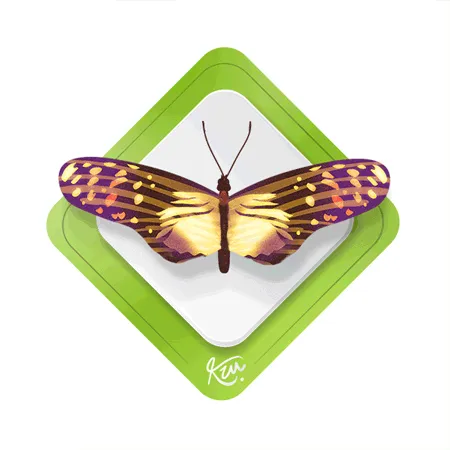 Item #95108902840389546703144349729901581114707866428078768323944287043754724950017 Media