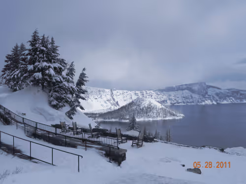 Untitled Collection #256100622