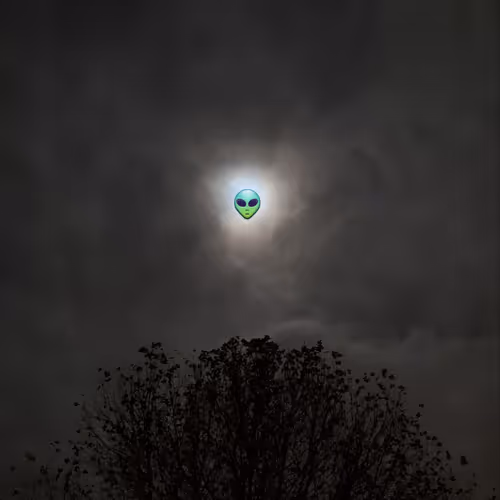 Untitled Collection #45319087