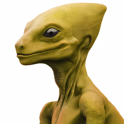 11482529296089494478294128754256019864430050427337939467612742376193714553832