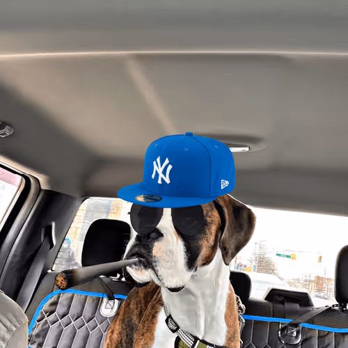 Item #49450195719316491671404381864324851204989443758491219879150974798985884073985 Media