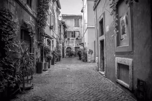 Item #101195628861723979995682596638321977406943309699790649386465685817437603233793 Media