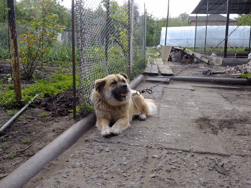 Item #41983459946325006344850038724007157971914249844141491949312560172128092028929 Media