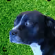 648008096045867044483137489329882592233555462946033952975387869498648297473
