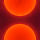 109465923035680512136283285722478726699648901101494319135368784612762094403585