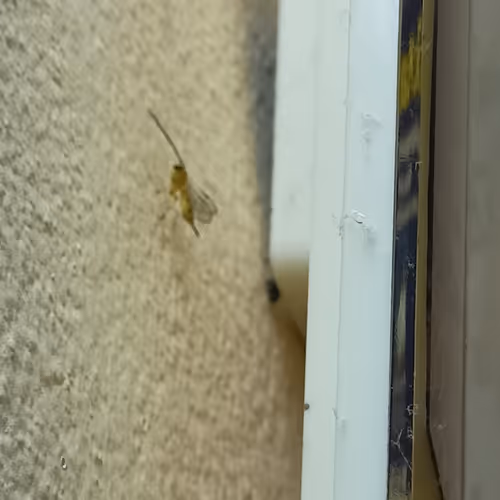 Untitled Collection #543885826