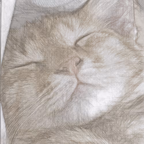 SleepyCatEveryday Collection