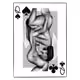66416132223844108442827276505540016143260359979947156459713197938651158282241
