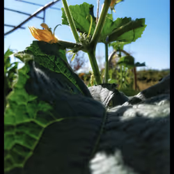 3787080761074609709675817509753112159059746763483256848434353999800082366465