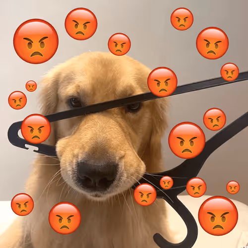 103377055753616743904415894801442859105601499227514320328309312317419916623873