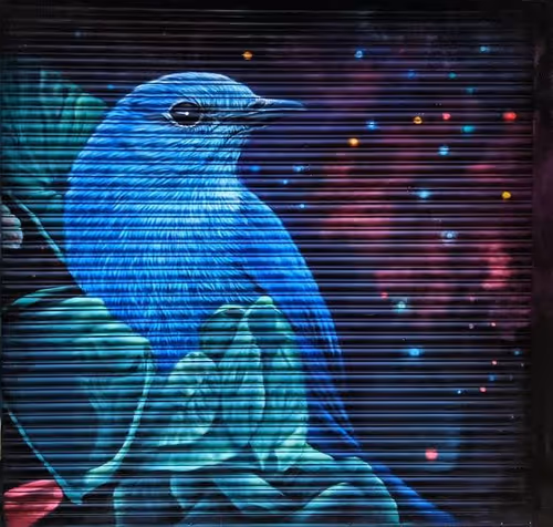 Item #44780268195173871161572035472768948089987869065093867251645780715743991562241 Media