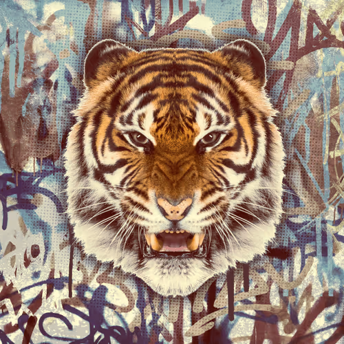 Item #103067360246068856029102275827311148072331324523879883651278741993393638866945 Media