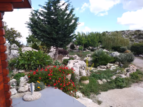 Item #56287055780979128950245095664156082691230445151418642547794192048611464839169 Media