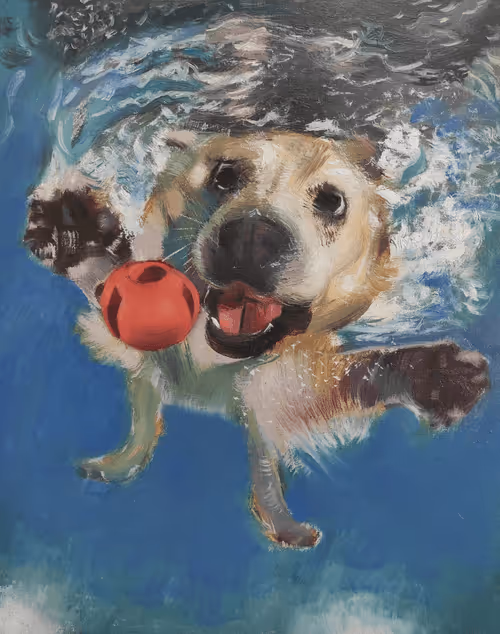 Item #64318745411404062669200330514642249182749671986222791980212163643008467600360 Media