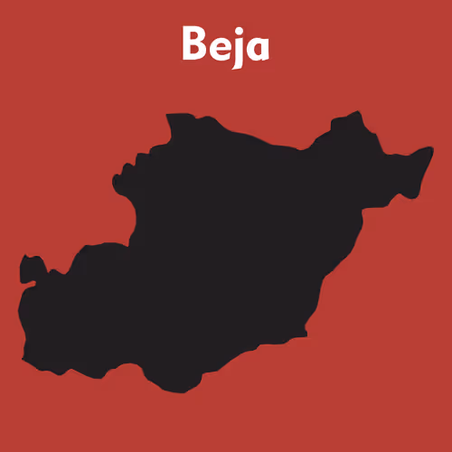 Item #53594356007989535792850162458107501771688790401863407050360661565494127493125 Media