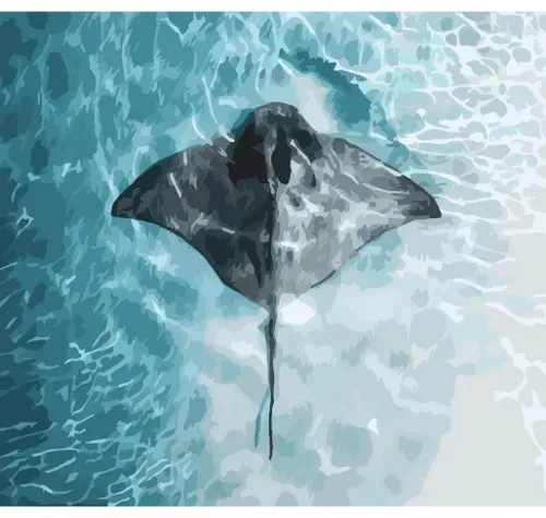 Item #80618145356985588633473514912058391618374773880156573244733306932196141957220 Media