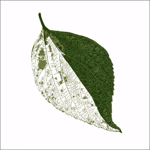 Item #40167138637940562108431742001123872206105593199433866487640627798883906355201 Media