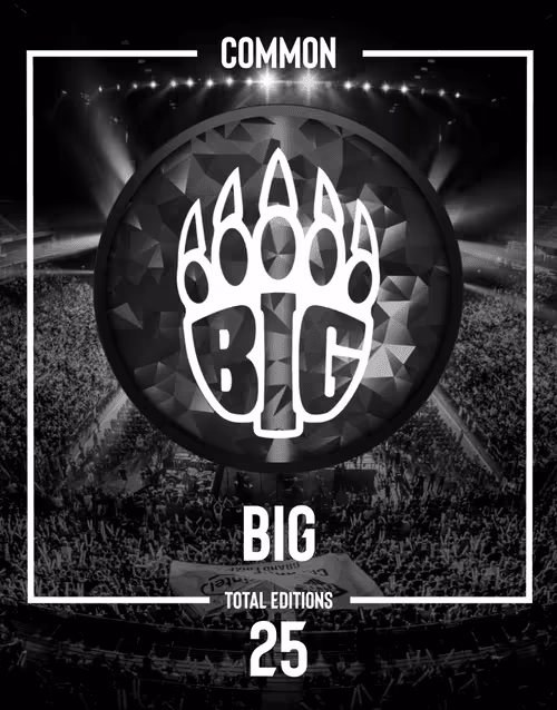 Item #10369340840379958852723926418477214703758193212271800906260902532798490869785 Media