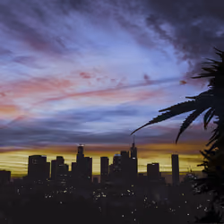 Higher City #05 Los Angeles