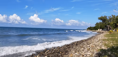 Item #31424334363182263499342889712121869918120279767835512363797786809381475581953 Media