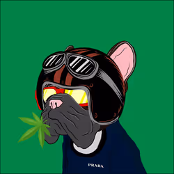 106428270753434531491887901925397801775135261497342296435004701447666807078913