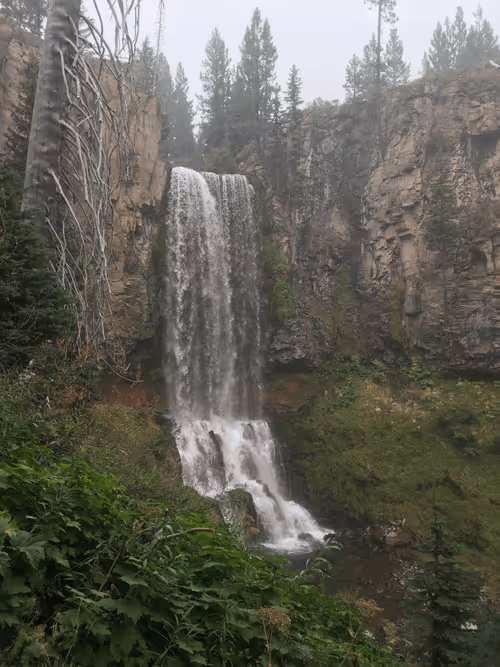 Item #58794710509392551542040062735070557949504527085713565262229554304861496934401 Media