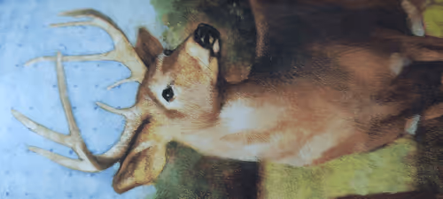 Item #92741434566094600185812596185285137100955910768144141226556336991525278842881 Media