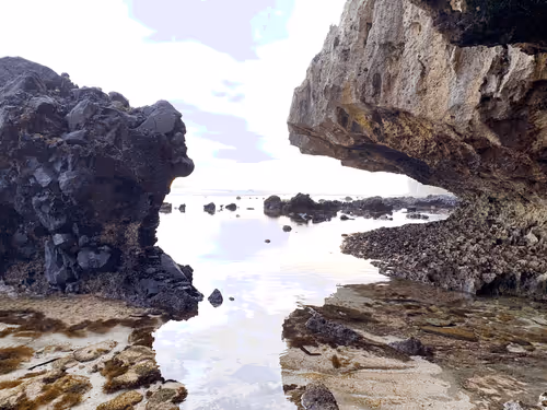 Item #84882622791583077624942362497231565219592397394142528523957179144237744128001 Media