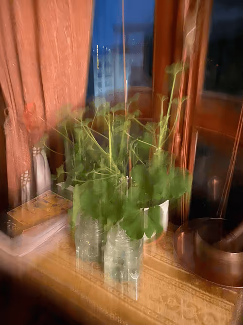 Item #62402000334580523921237358418718502457721815832787791947048085412444341534721 Media