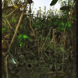 3787080761074609709675817509753112159059746763483256848434353986605942833153