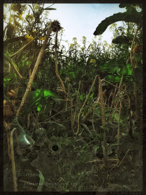 Item #3787080761074609709675817509753112159059746763483256848434353986605942833153 Media