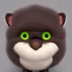 Chico_chubby