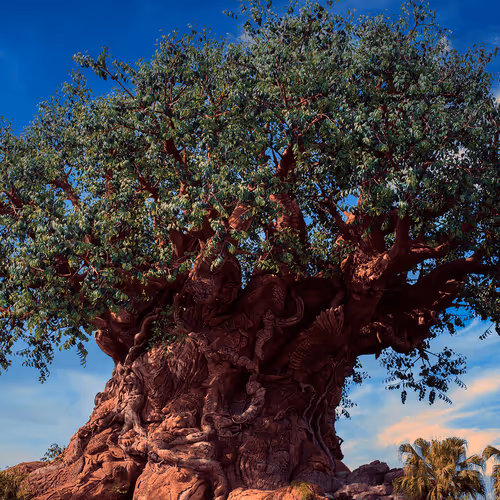 Item #88004996534824683595530724546599971679500479885653343253103225466021419679745 Media