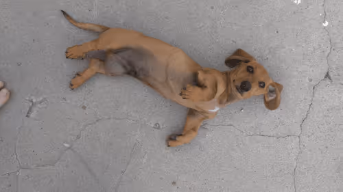 Untitled Collection #210796952