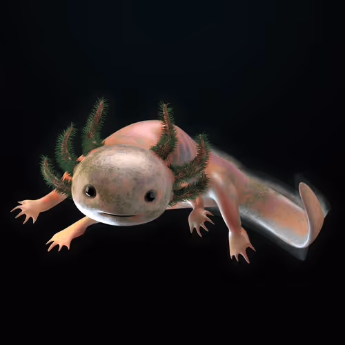 Item #39982110375740153587505644478940195082872270202471884348459982323921614536705 Media