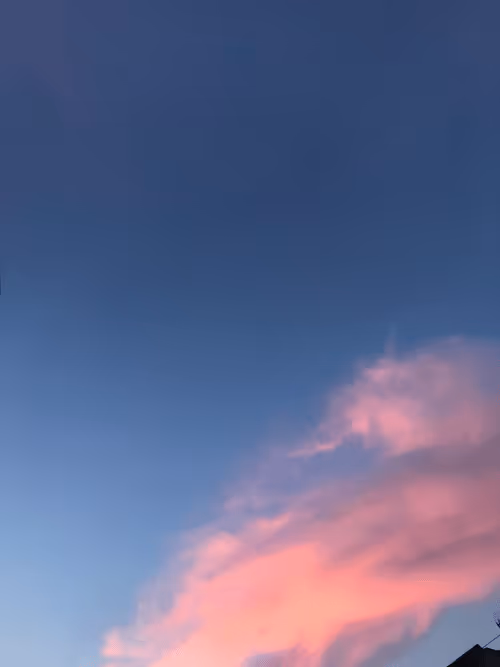 Item #95969751355456896941203976858698883451620687351810404751829047470070033285121 Media