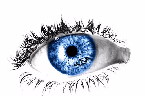 Item #112077979670973144980647134264756575521856972075993112666501500340278738812929 Media