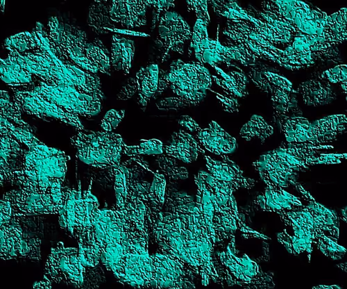 Item #97667747305328880677719999642930270019019806513031101726286666959831156391937 Media