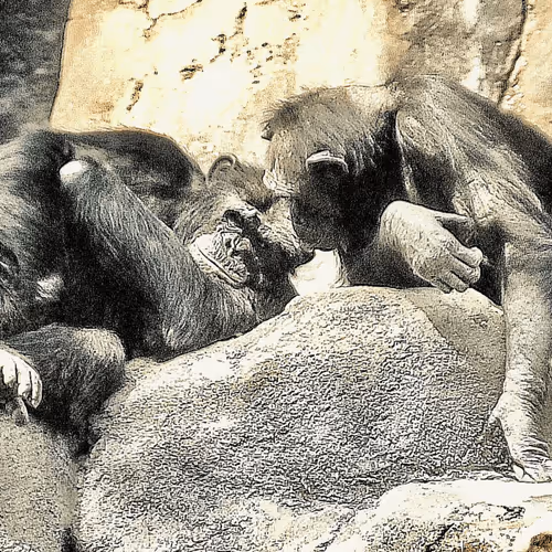 Item #105394010161551018097936078642910549059002323015222353178191528900197340938241 Media