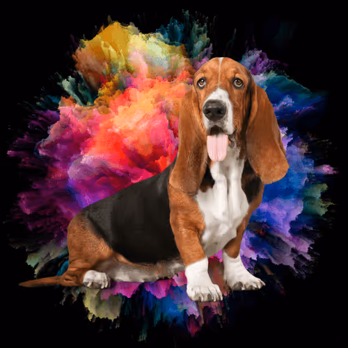 Item #56239973556945340979686789749535475438779907640352577271033901442630489735178 Media