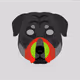 47767744629364094184585378912313341987507545914962063248136671482413219577857