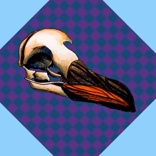 Item #36174433589321644146614358493926783599740713347457053228795575967972065280001 Media