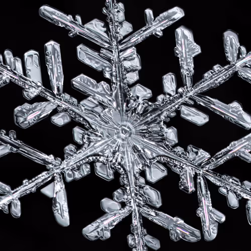 Item #39629935389522237345664437028542438492977381533873015043488418146486862217223 Media