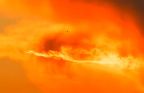 Item #55297223282317197917185791022658401724226762533250968792427961317930257350657 Media