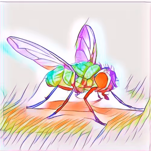 Item #100594514938294653370865074559449160227647306366159912850326688226171533918308 Media